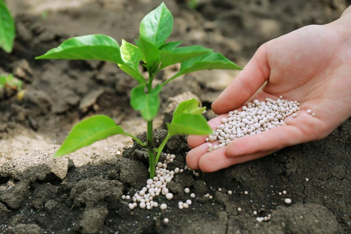 micronutrients